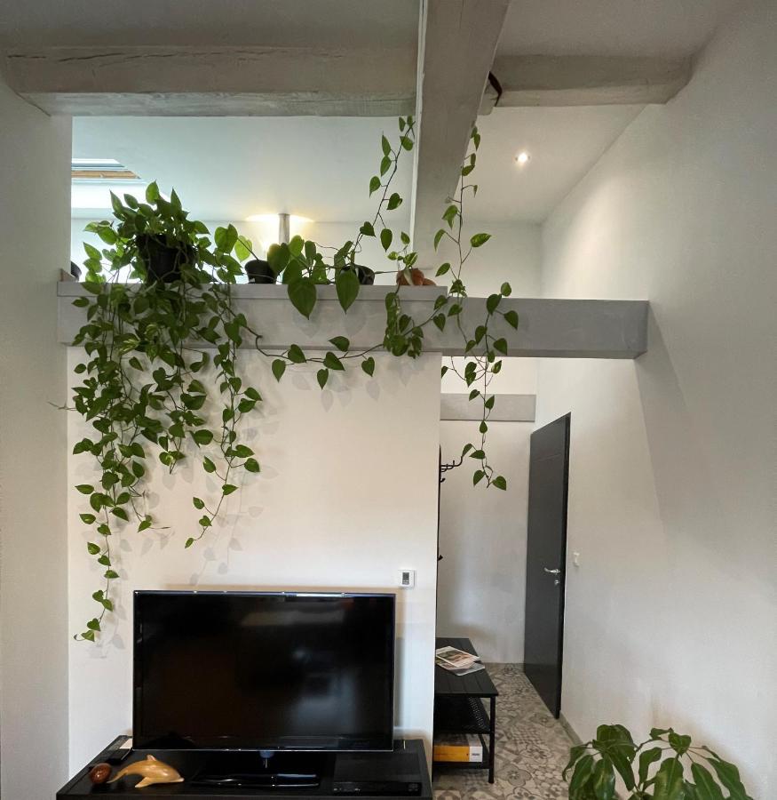 Appartement T2 De 40 M2 - Facile D'Acces, Lumineux Et Au Calme à Saint-Genet-Lerpt Extérieur photo